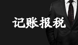 新成立的公司記賬報稅方面有哪些選擇？