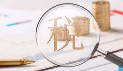 電子稅務(wù)局1月新增重點(diǎn)功能！速看！