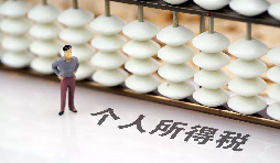 如何在網(wǎng)上打印個(gè)人所得稅納稅記錄？