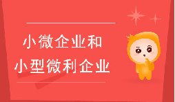 小微企業(yè)和小型微利企業(yè)有什么區(qū)別？